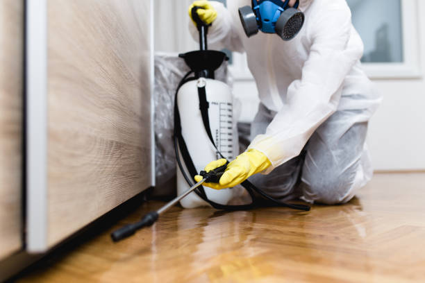 Best Pest Control for Businesses  in Lordsburg, NM