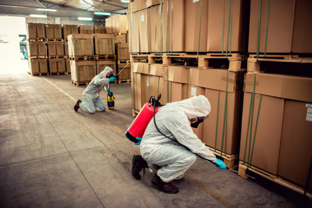 Best Commercial Pest Control Services  in Lordsburg, NM