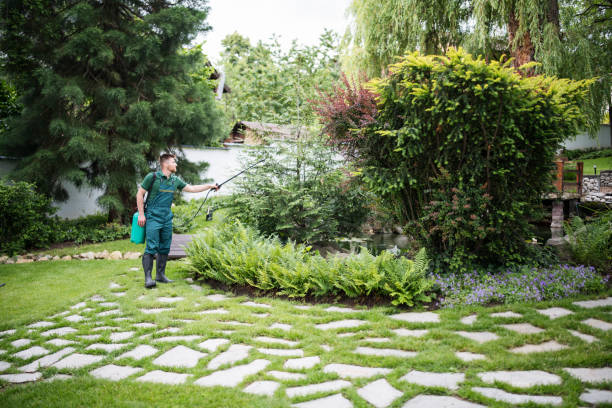 Best Best Pest Control Companies  in Lordsburg, NM